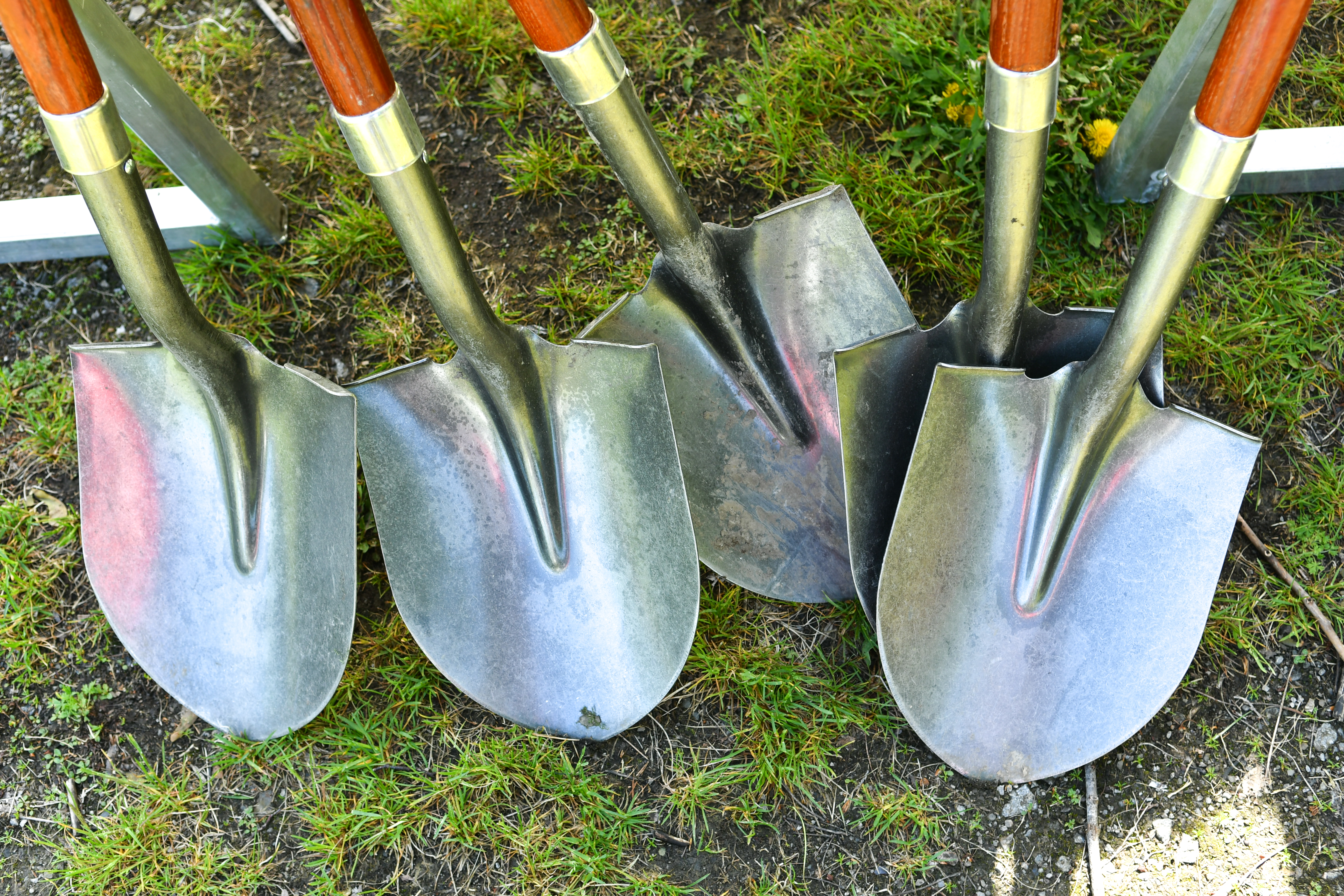 tree planting shovels