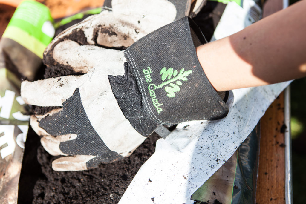 Tree Canada planting gloves