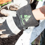 http://Tree%20Canada%20planting%20gloves