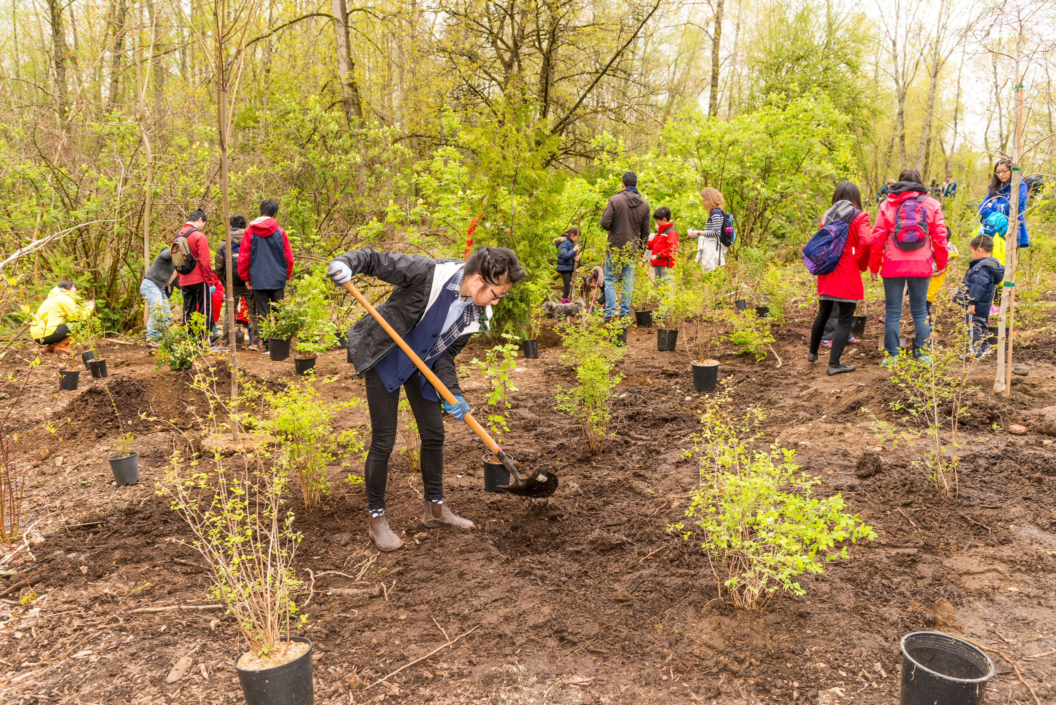 Greening Communities Tree Canada 6099