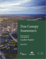 tree-canopy-assessment-fall-2019-EN