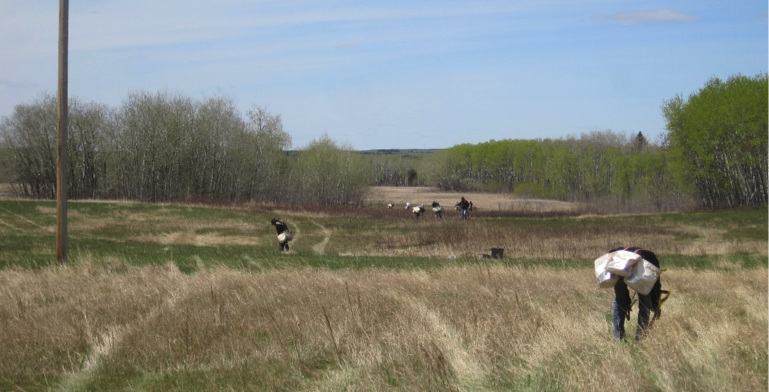 Eight tree planters in a open field, with trees in the background.