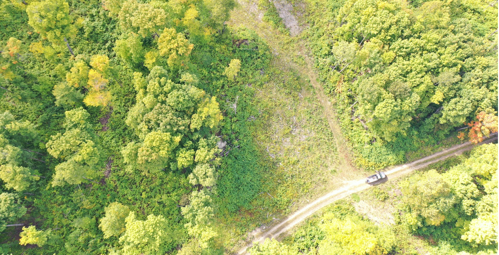 Aerial view of a forest, a dirt road and a pickup truck.