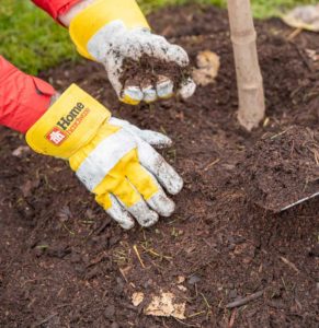 Person wearing garden gloves with Home Hardware logo, mulching a newly planted tree.