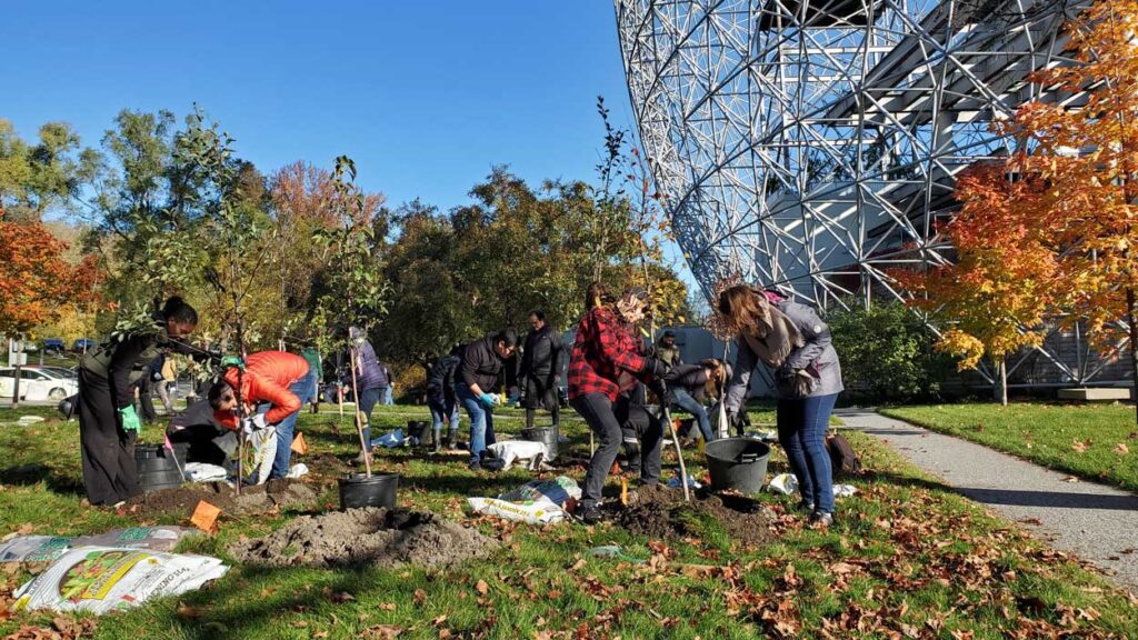 Volunteers planting trees.