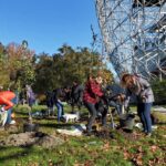 http://Volunteers%20planting%20trees.