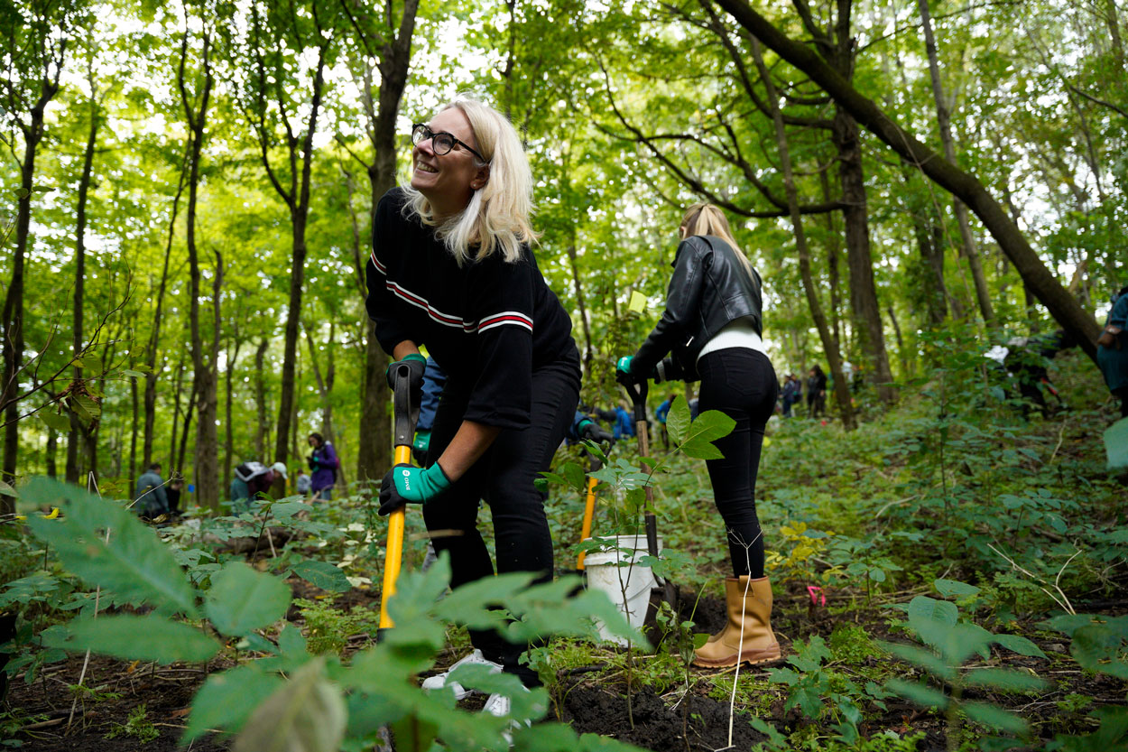 Volunteer planting trees.