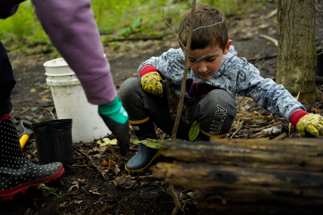 Young boy planting a tree.