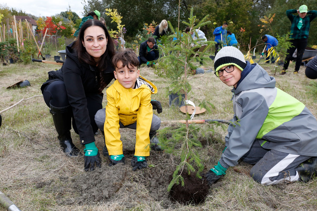 Two young boys and mom planting tree.