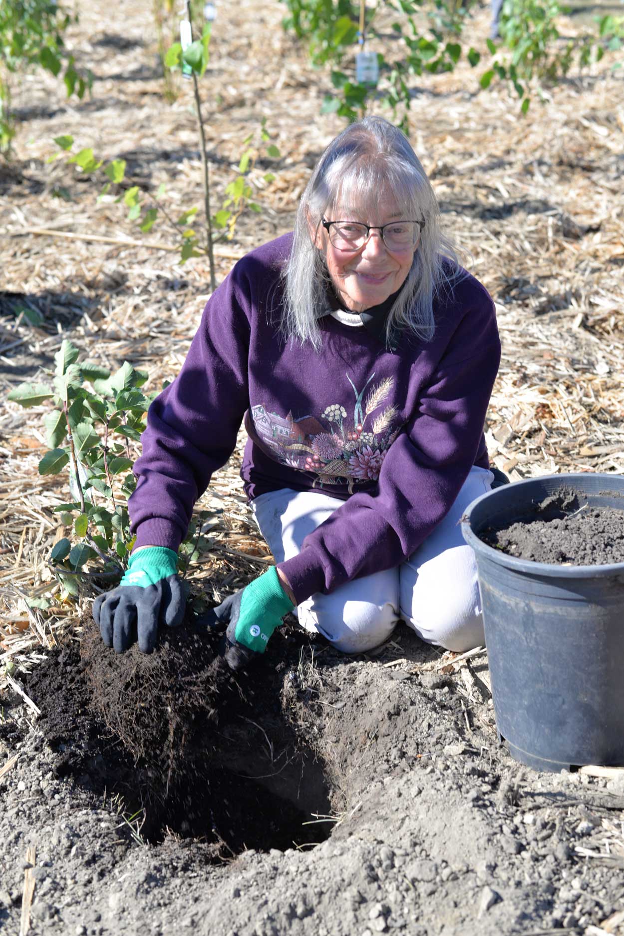 Woman planting tree.
