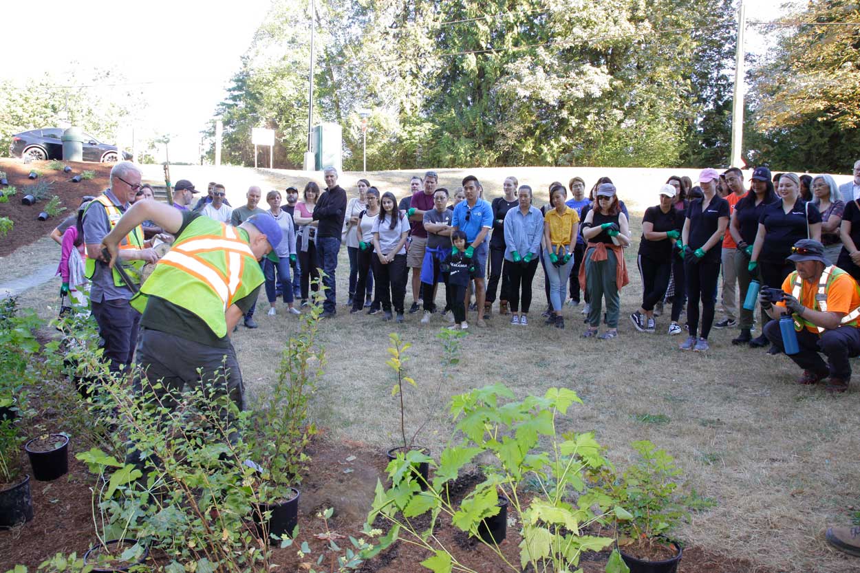 Volunteers watching a tree planting demonstration.