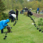 http://Volunteers%20planting%20trees.