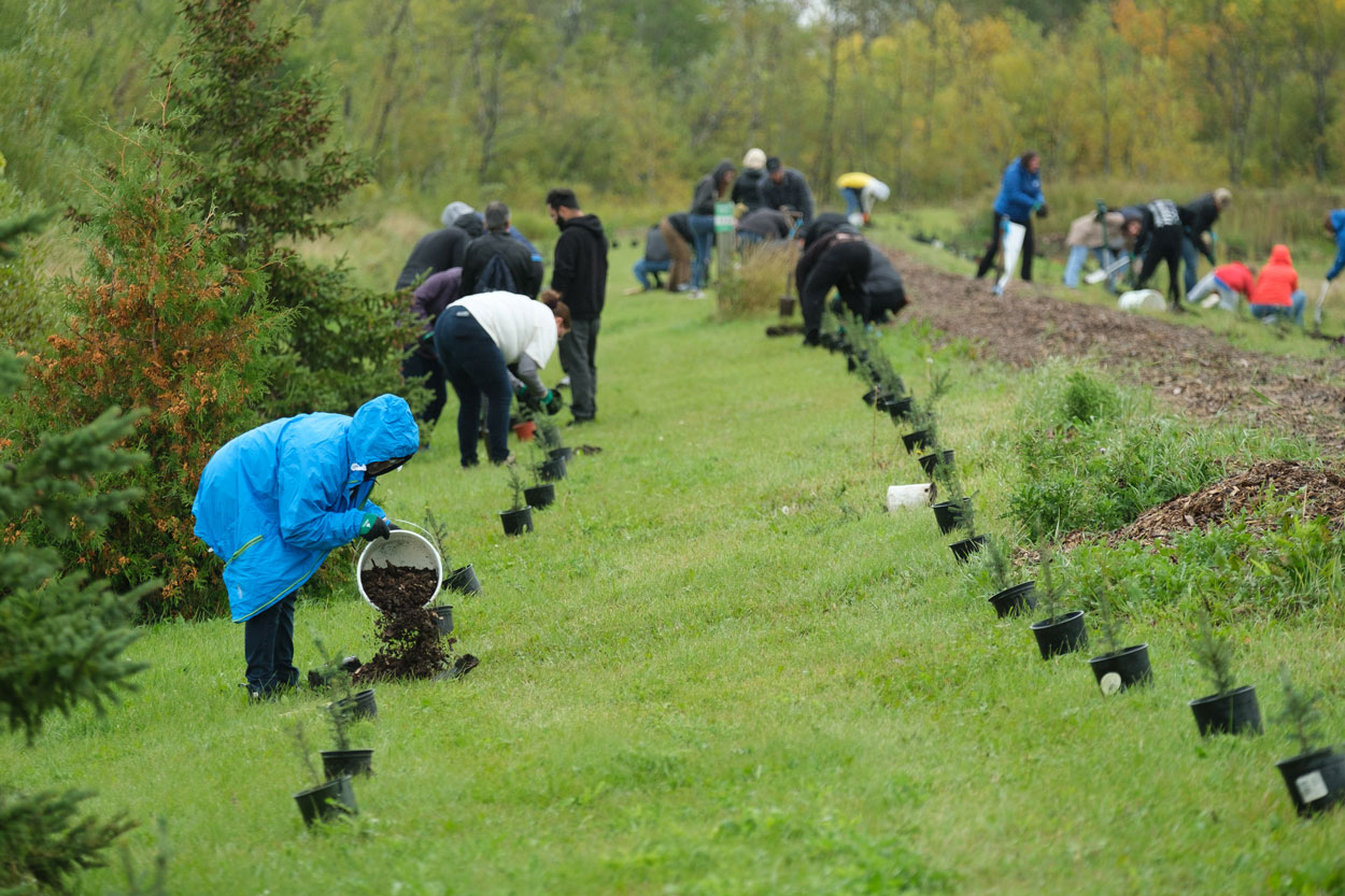 Volunteers planting trees.