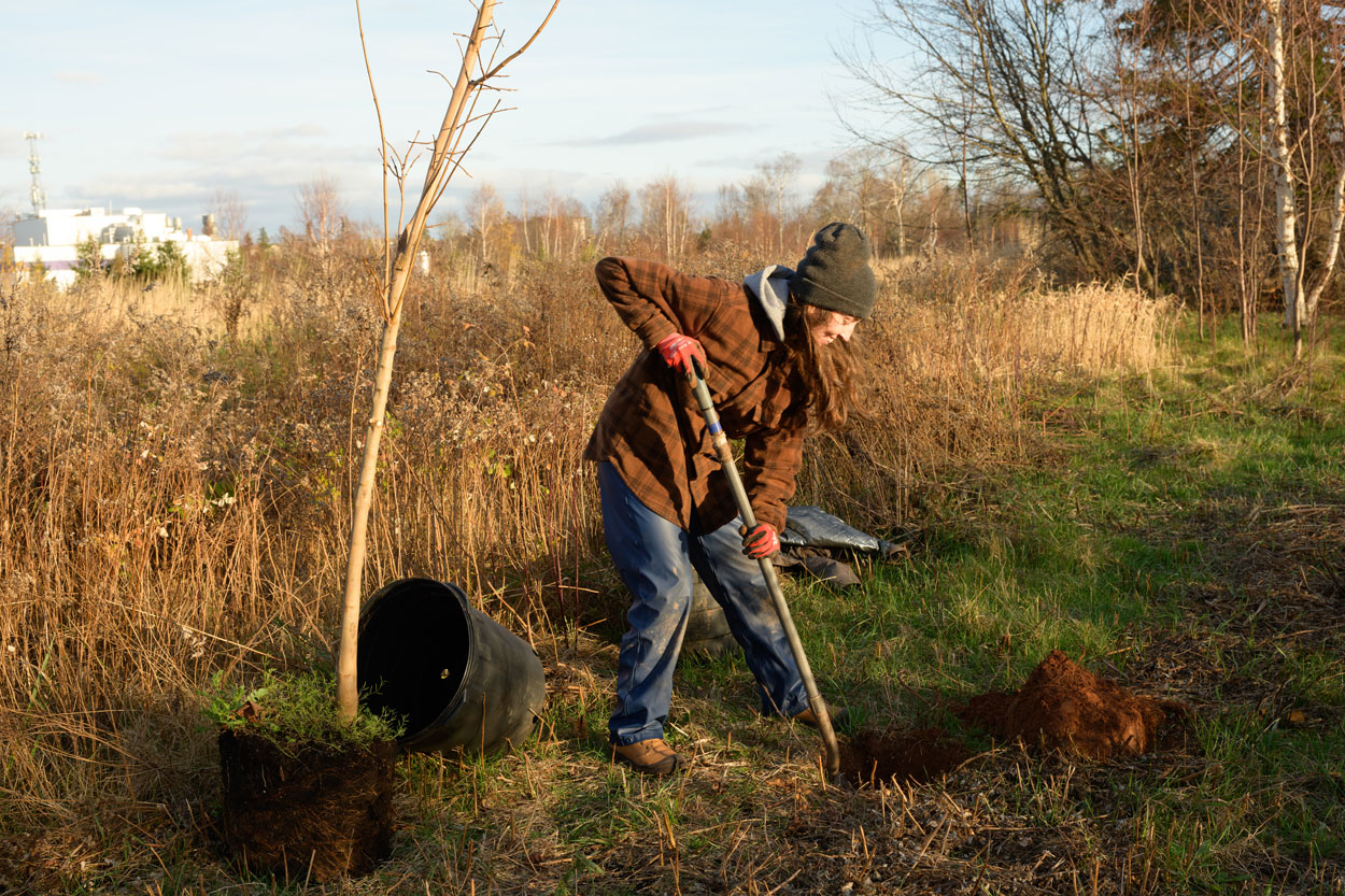 Volunteer digging a hole.