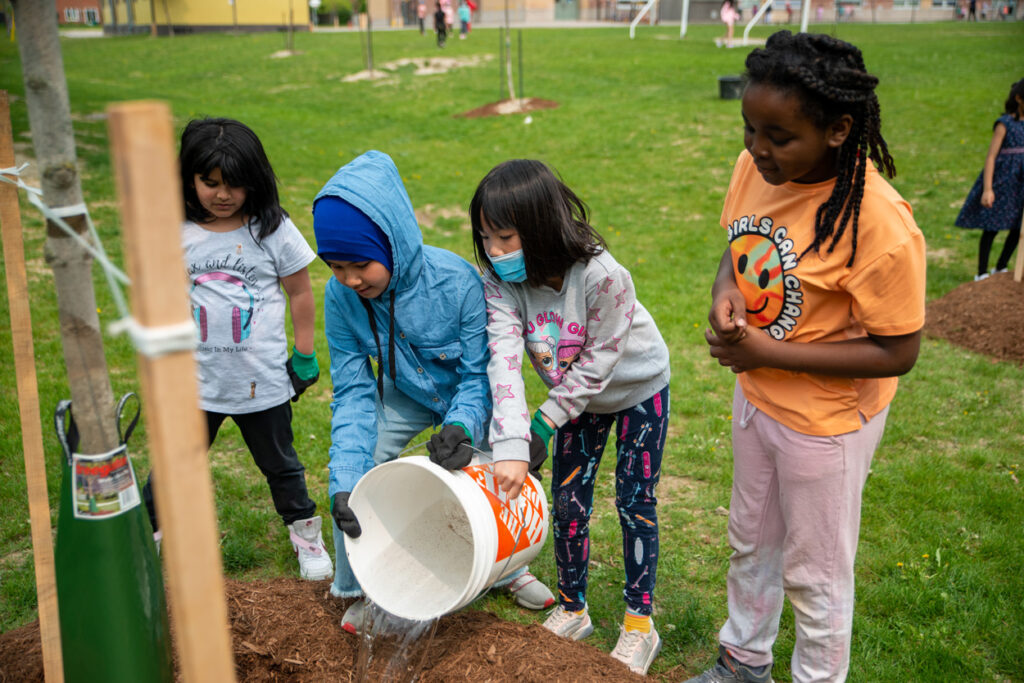 Students watering a tree