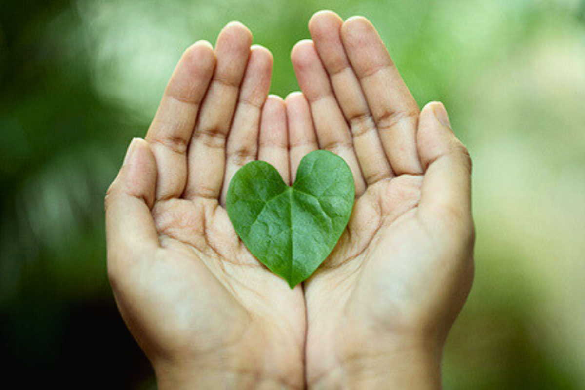 Hands holding heart shaped leaf