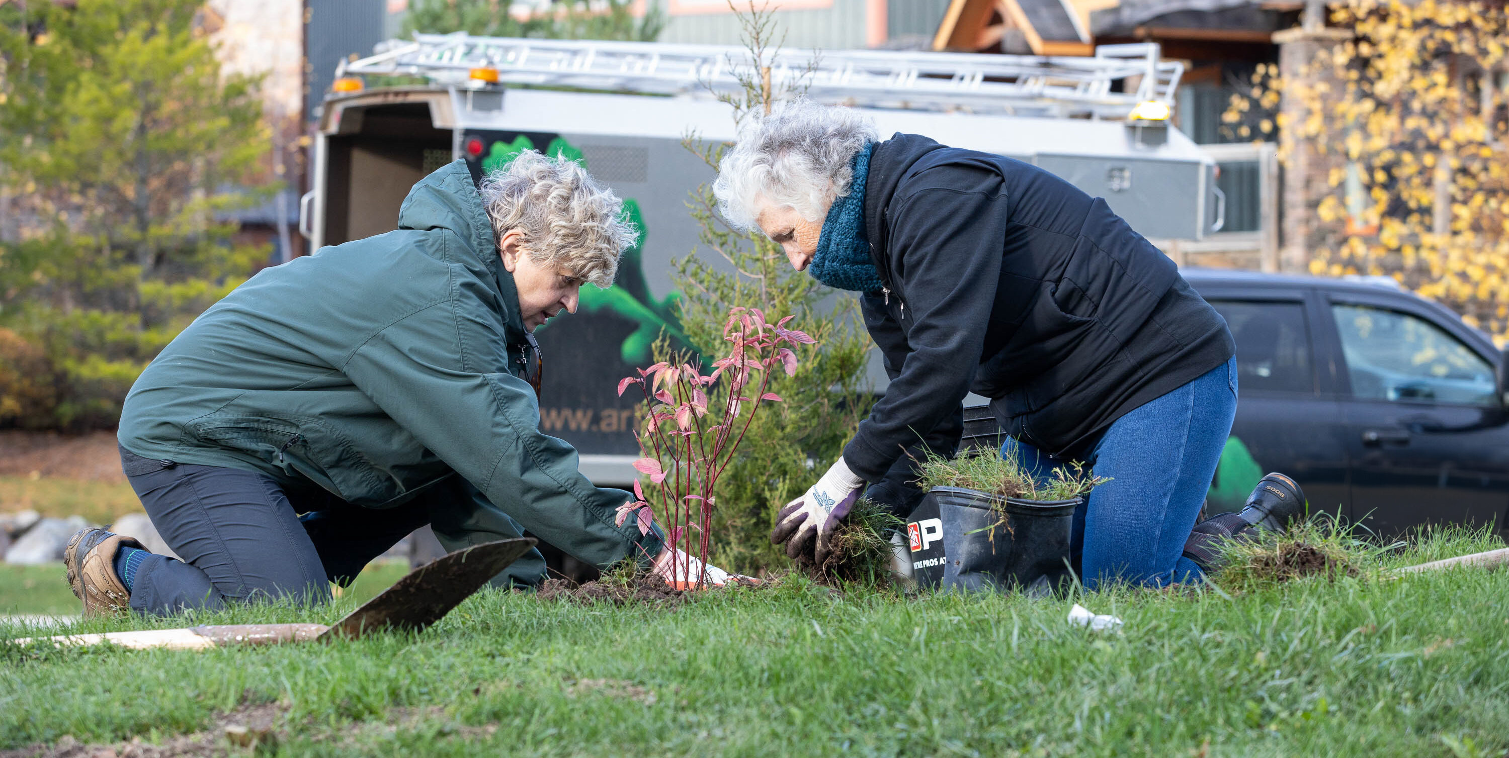 Why Maintenance Matters: Stewarding Our Urban Forests - Tree Canada