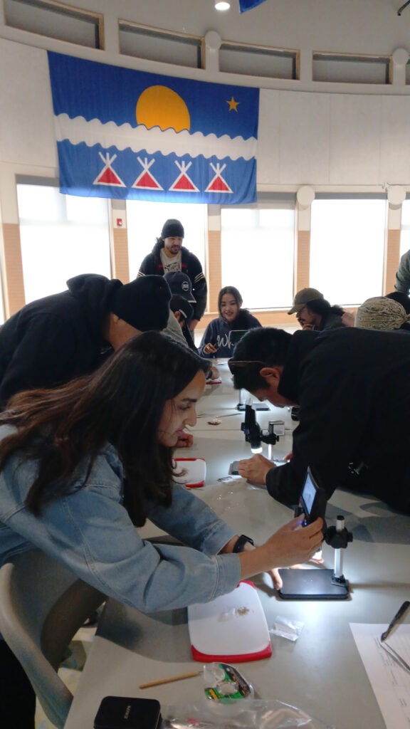 Indigenous Seed Collection Program (ISCP) participants learn plant and seed identification.