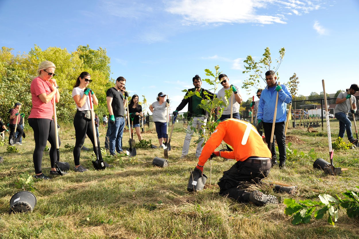 http://Un%20groupe%20observe%20une%20personne%20planter%20un%20arbre