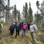 http://Indigenous%20Seed%20Collection%20Program%20(ISCP)%20participants%20look%20up%20while%20learning%20to%20harvest%20Black%20spruce%20cones.