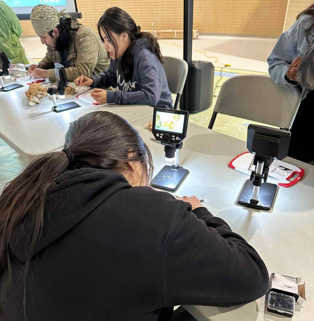 Indigenous Seed Collection Program (ISCP) participants learn plant and seed identification.