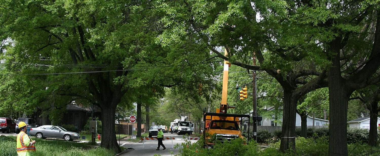 Tree lined city street closed for tree maintenance. Orange truck is working on a tree with two workers observing in neon vests.