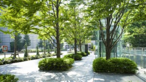 City street with landscaped sidewalks with three rows of tree and shrubs