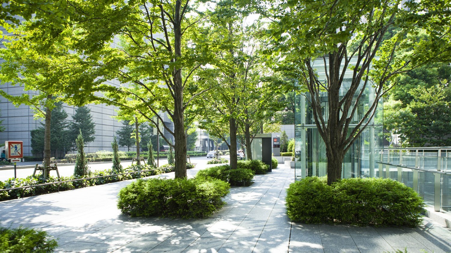 City street with landscaped sidewalks with three rows of tree and shrubs