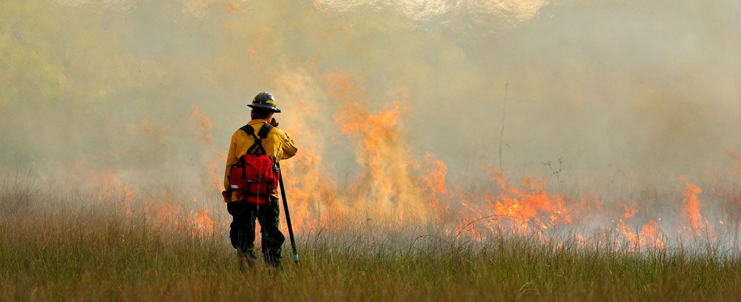 Firefighter in yellow and red standing on the grass with an active fire in the background.