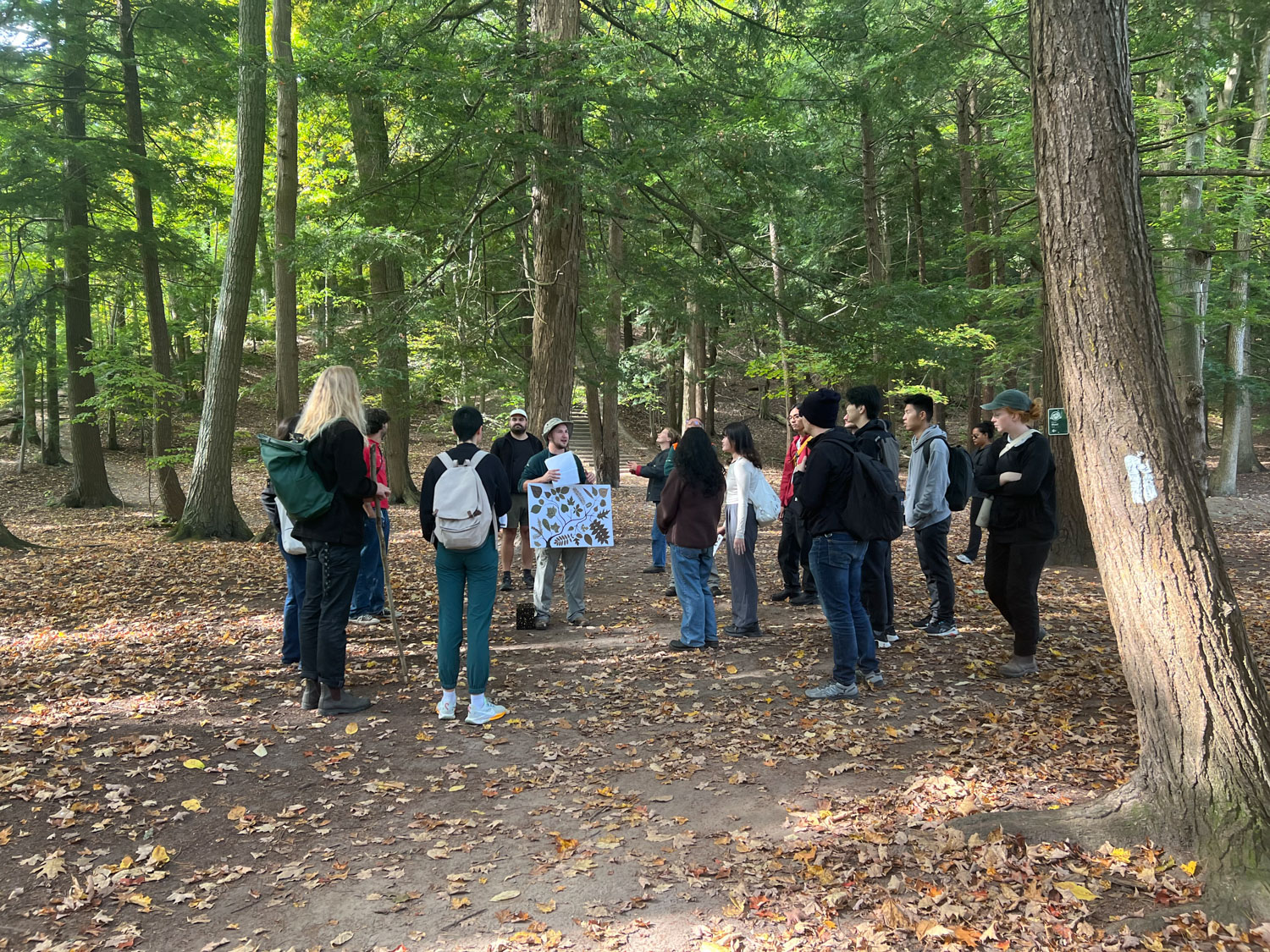 Group of young people stand together in the forest. One person in the middle is holding a poster with tree illustrations on it. Everyone else is facing them.