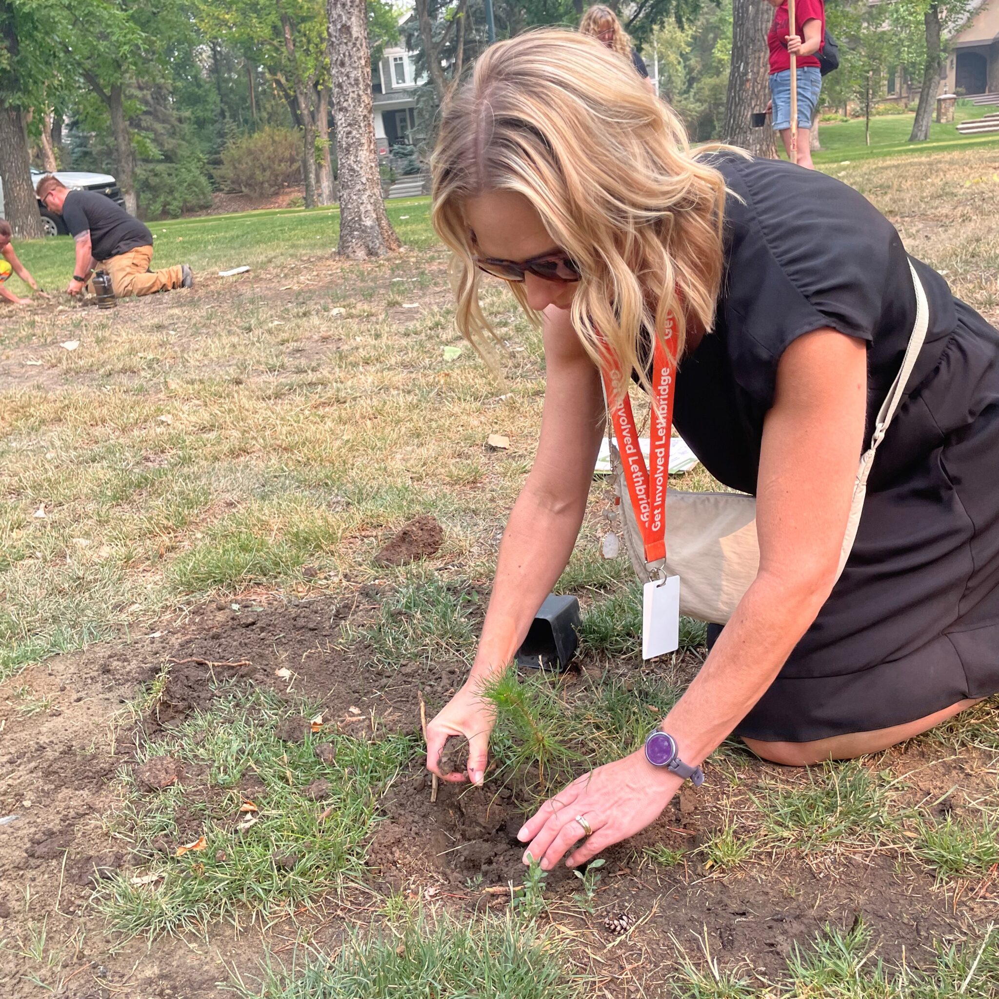 plant-and-picnic-national-tree-day-in-lethbridge-tree-canada